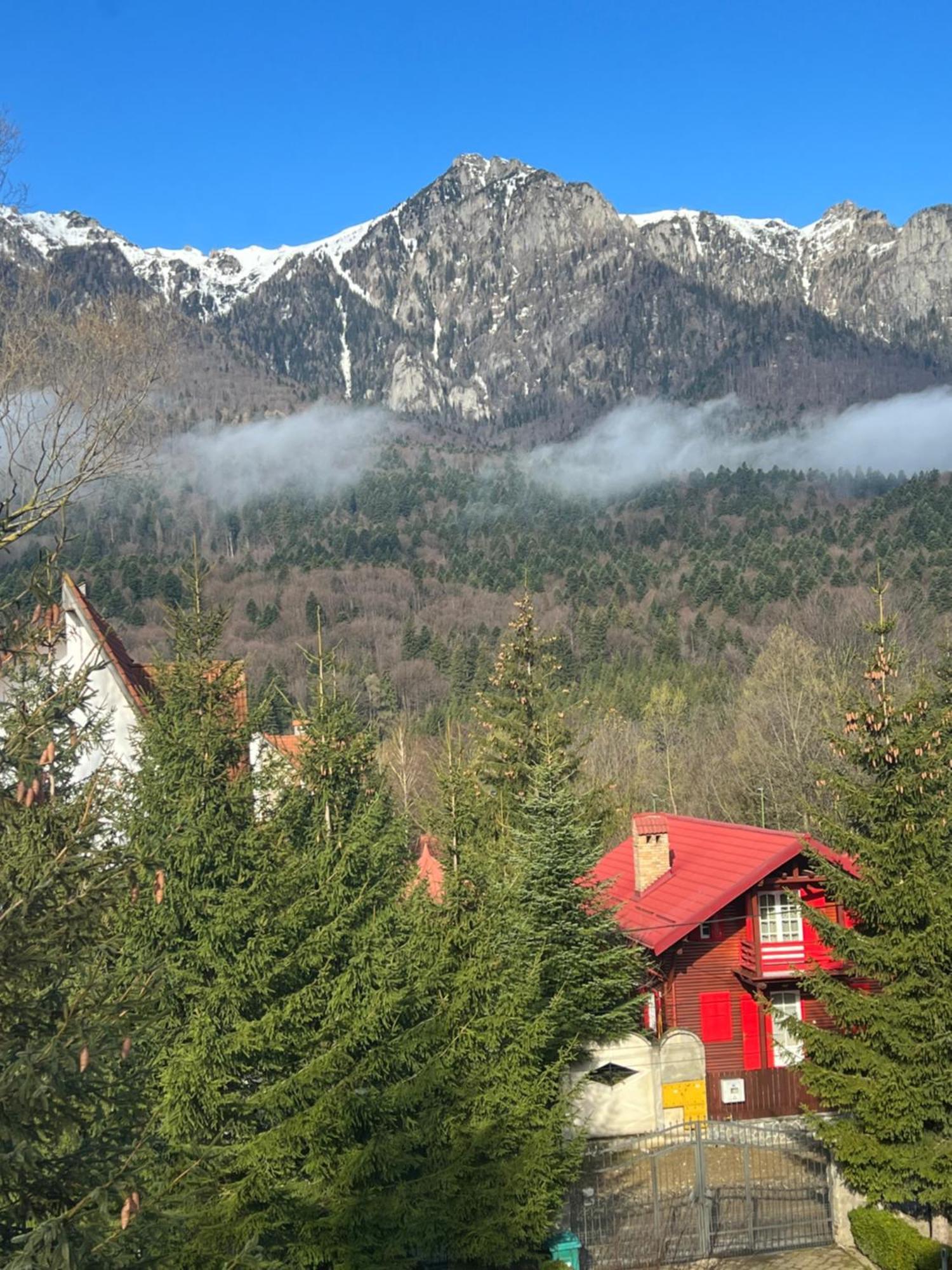 Wine Cellar Villa With Beautiful Garden In Sinaia - Busteni Poiana Tapului Екстериор снимка