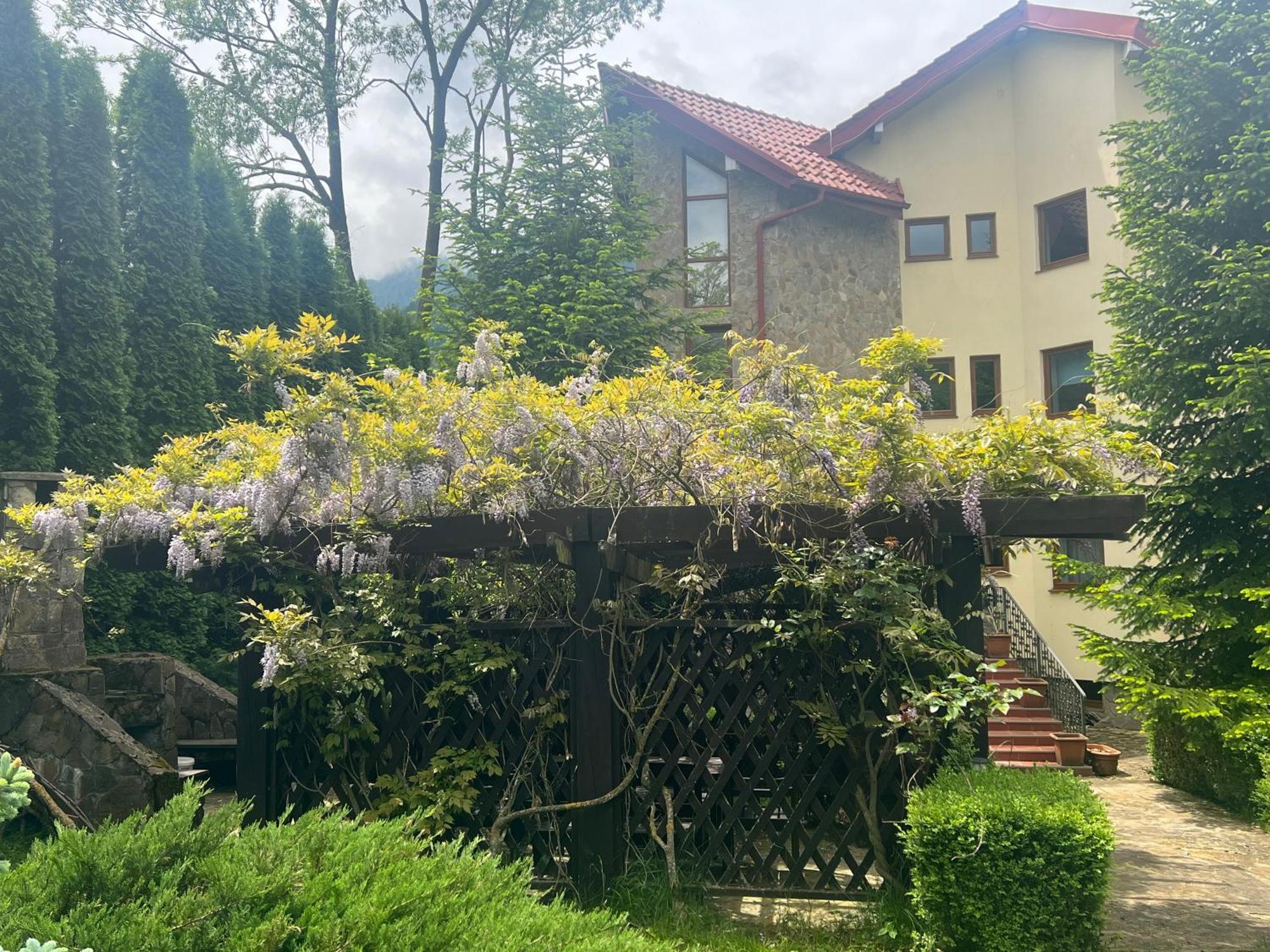 Wine Cellar Villa With Beautiful Garden In Sinaia - Busteni Poiana Tapului Екстериор снимка