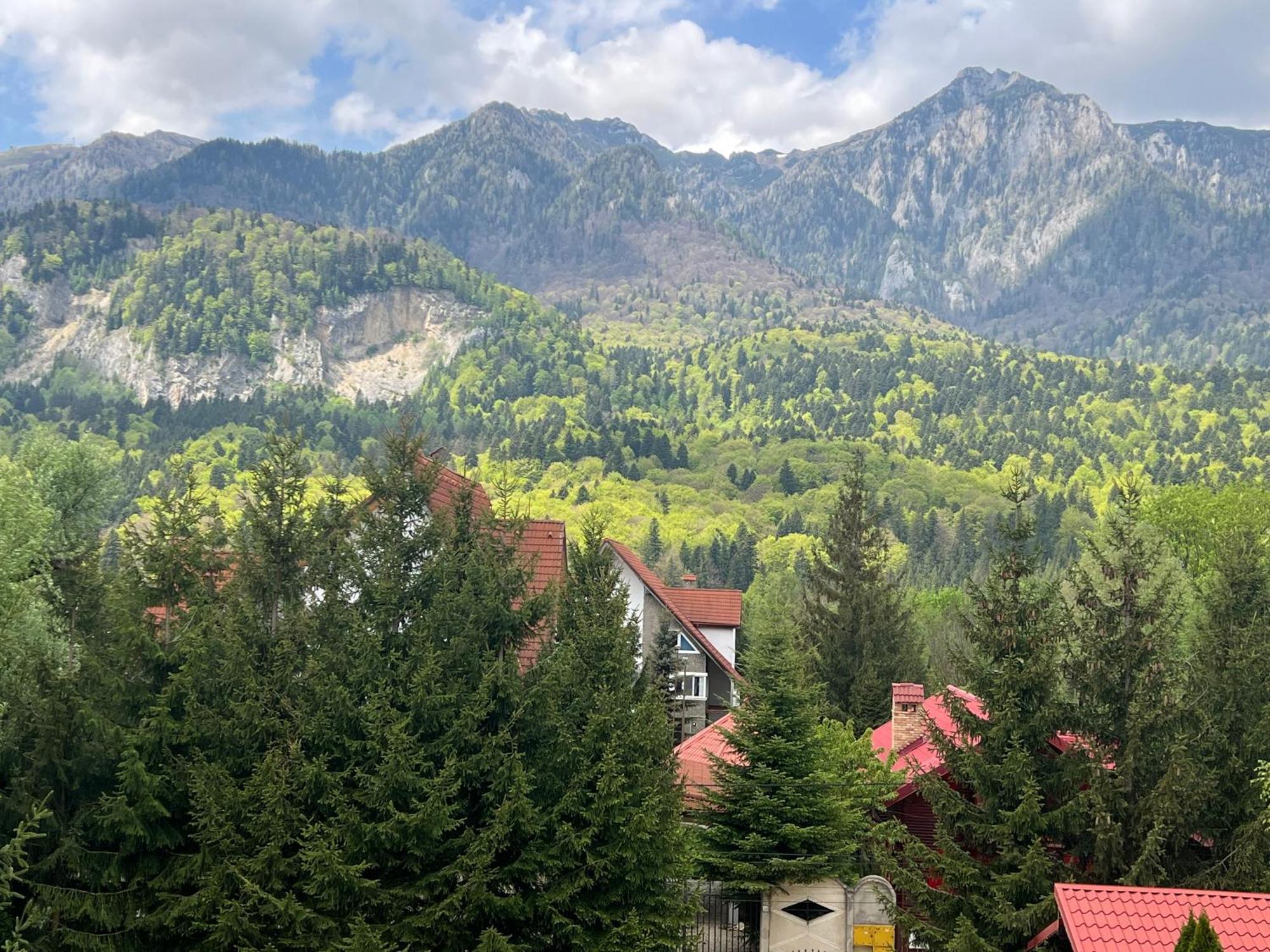 Wine Cellar Villa With Beautiful Garden In Sinaia - Busteni Poiana Tapului Екстериор снимка
