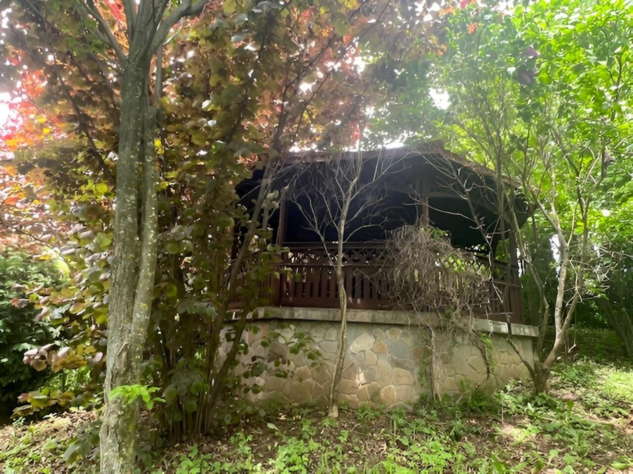 Wine Cellar Villa With Beautiful Garden In Sinaia - Busteni Poiana Tapului Екстериор снимка