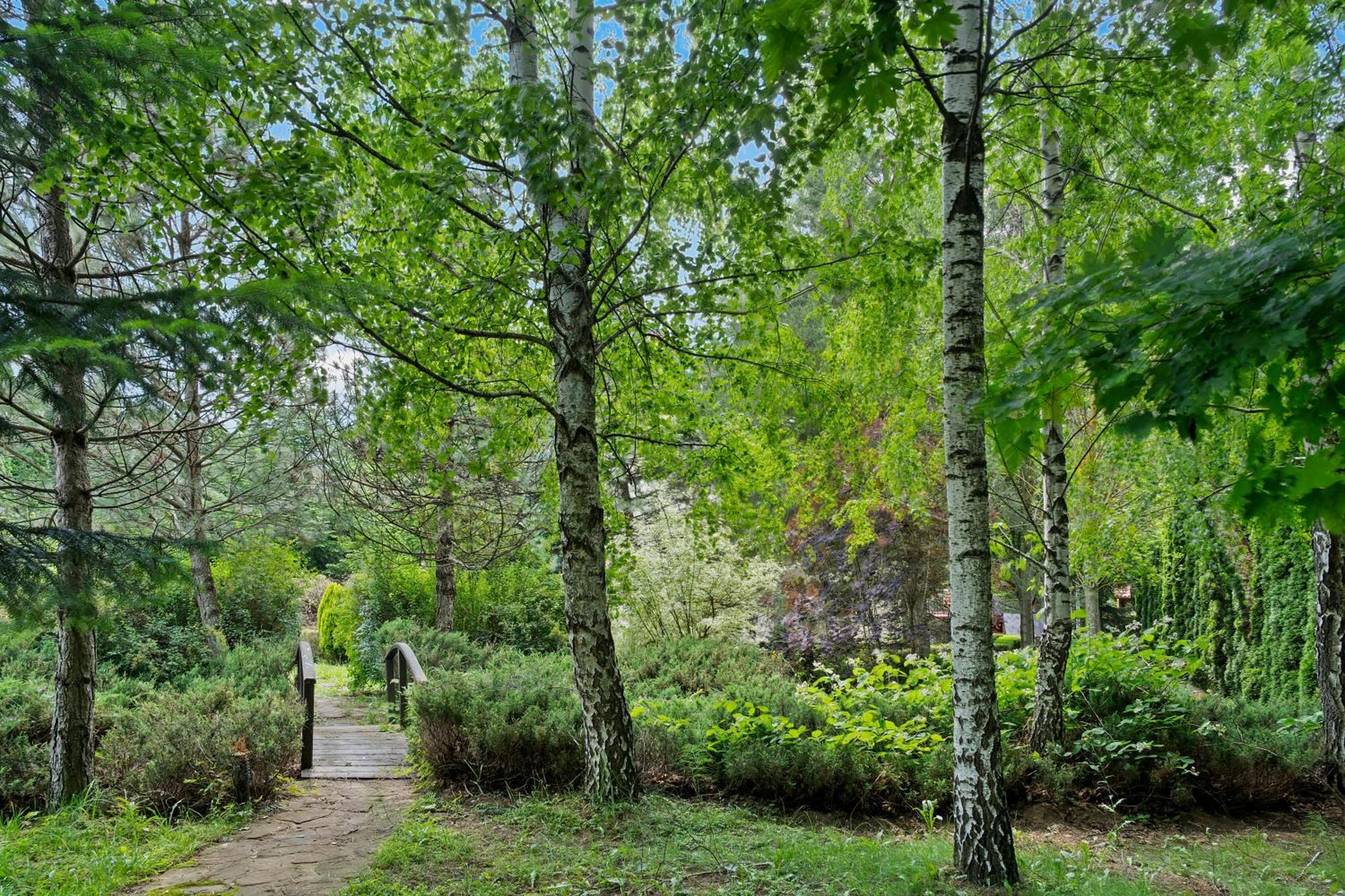 Wine Cellar Villa With Beautiful Garden In Sinaia - Busteni Poiana Tapului Екстериор снимка