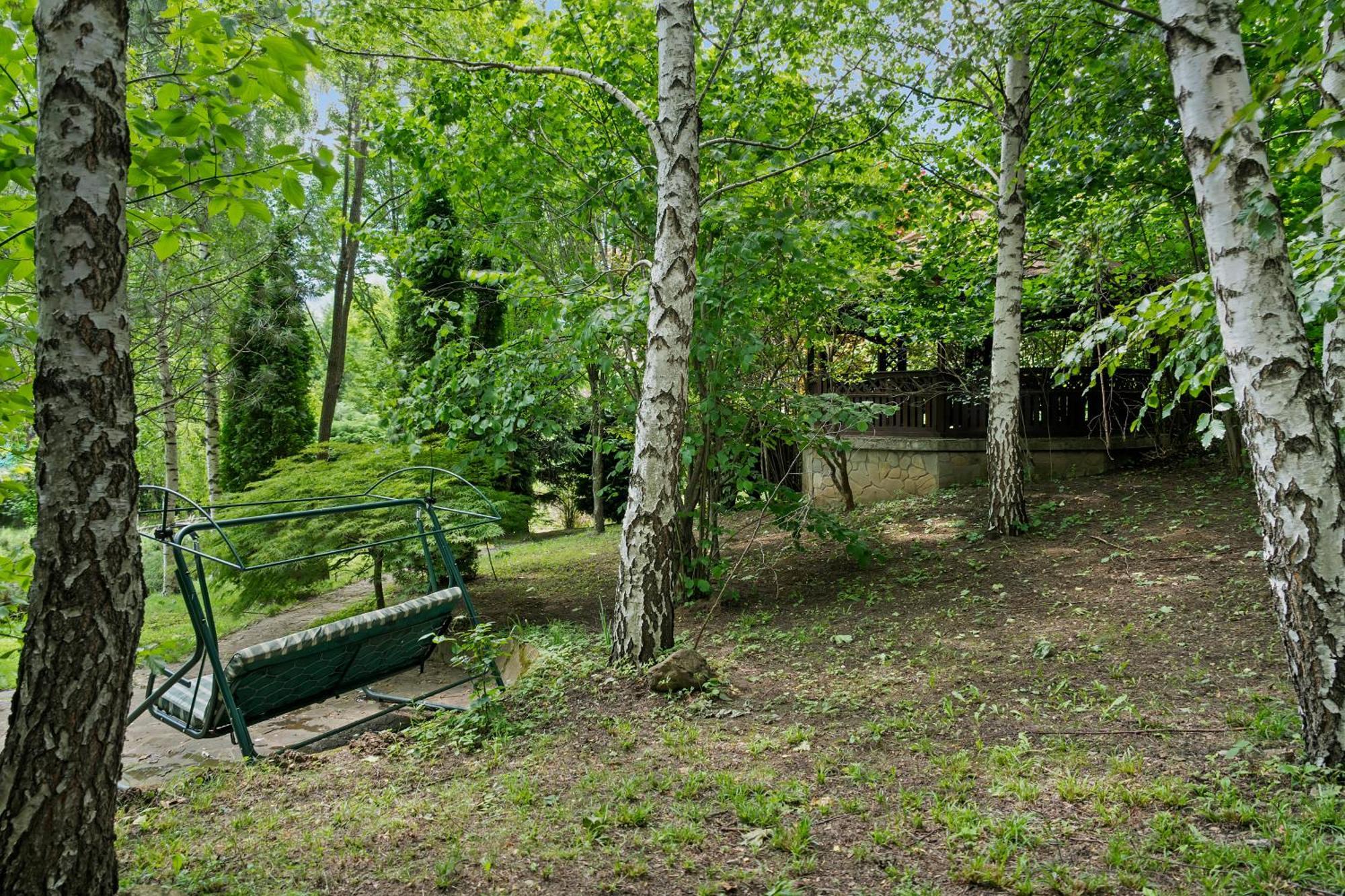 Wine Cellar Villa With Beautiful Garden In Sinaia - Busteni Poiana Tapului Екстериор снимка